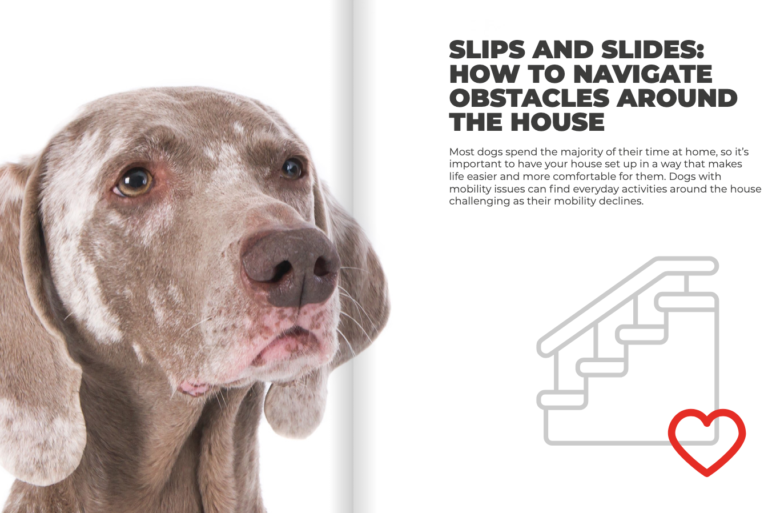 Making home arthritis Friendly